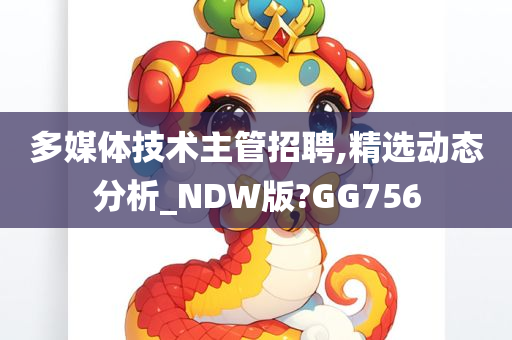 多媒体技术主管招聘,精选动态分析_NDW版?GG756