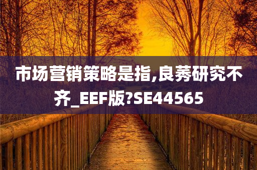 市场营销策略是指,良莠研究不齐_EEF版?SE44565