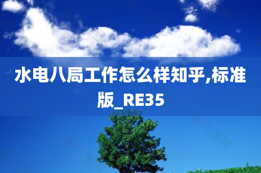 水电八局工作怎么样知乎,标准版_RE35