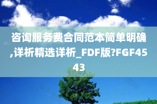 咨询服务费合同范本简单明确,详析精选详析_FDF版?FGF4543