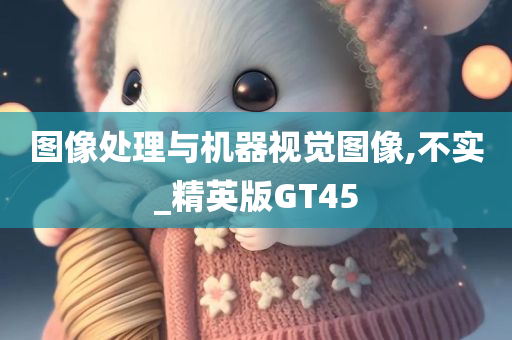 图像处理与机器视觉图像,不实_精英版GT45