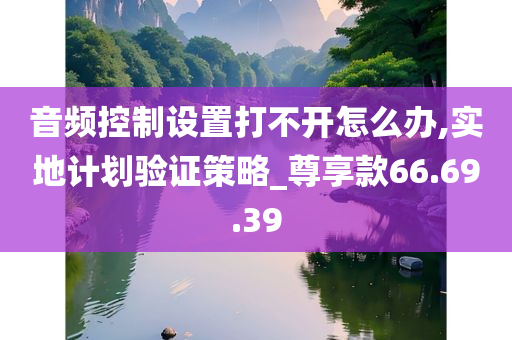 音频控制设置打不开怎么办,实地计划验证策略_尊享款66.69.39