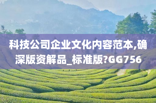 科技公司企业文化内容范本,确深版资解品_标准版?GG756