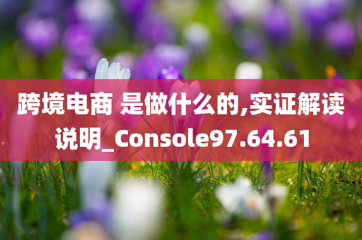 跨境电商 是做什么的,实证解读说明_Console97.64.61