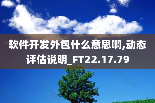 软件开发外包什么意思啊,动态评估说明_FT22.17.79