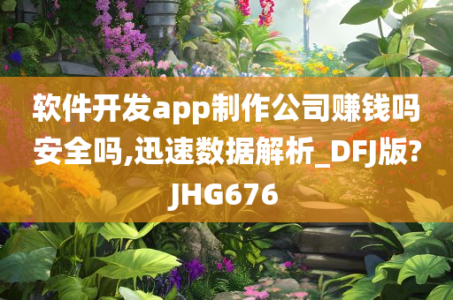 软件开发app制作公司赚钱吗安全吗,迅速数据解析_DFJ版?JHG676