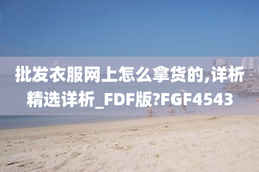 批发衣服网上怎么拿货的,详析精选详析_FDF版?FGF4543