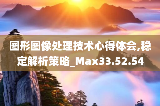 图形图像处理技术心得体会,稳定解析策略_Max33.52.54