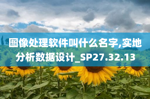 图像处理软件叫什么名字,实地分析数据设计_SP27.32.13