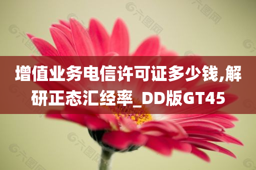 增值业务电信许可证多少钱,解研正态汇经率_DD版GT45