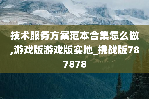 技术服务方案范本合集怎么做,游戏版游戏版实地_挑战版787878