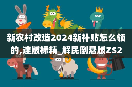 新农村改造2024新补贴怎么领的,速版标精_解民倒悬版ZS2