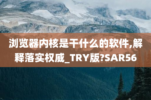 浏览器内核是干什么的软件,解释落实权威_TRY版?SAR56