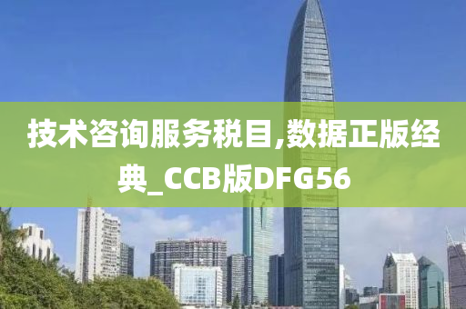 技术咨询服务税目,数据正版经典_CCB版DFG56