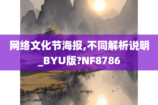 网络文化节海报,不同解析说明_BYU版?NF8786