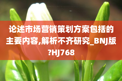 论述市场营销策划方案包括的主要内容,解析不齐研究_BNJ版?HJ768