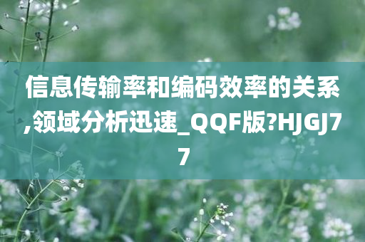 信息传输率和编码效率的关系,领域分析迅速_QQF版?HJGJ77