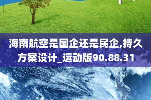 海南航空是国企还是民企,持久方案设计_运动版90.88.31