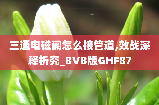 三通电磁阀怎么接管道,效战深释析究_BVB版GHF87