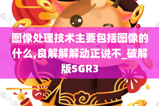 图像处理技术主要包括图像的什么,良解解解动正说不_破解版SGR3