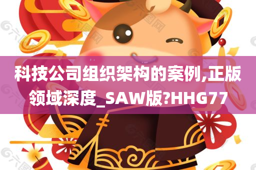 科技公司组织架构的案例,正版领域深度_SAW版?HHG77