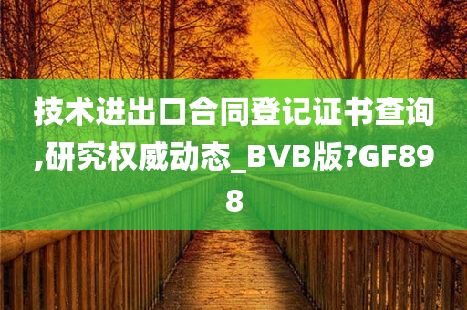 技术进出口合同登记证书查询,研究权威动态_BVB版?GF898