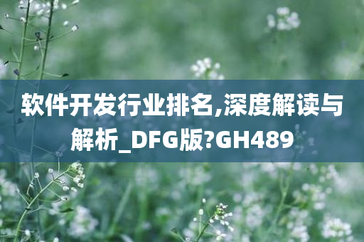 软件开发行业排名,深度解读与解析_DFG版?GH489