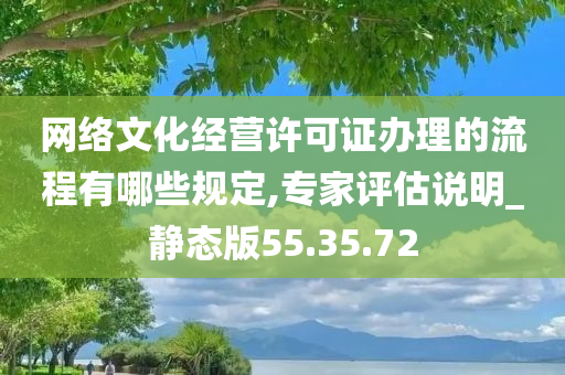 网络文化经营许可证办理的流程有哪些规定,专家评估说明_静态版55.35.72