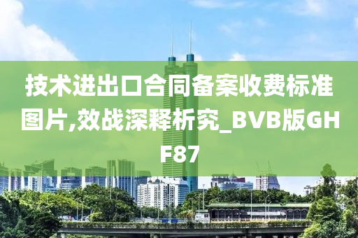 技术进出口合同备案收费标准图片,效战深释析究_BVB版GHF87