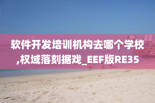 软件开发培训机构去哪个学校,权域落刻据戏_EEF版RE35