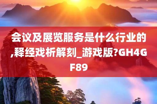 会议及展览服务是什么行业的,释经戏析解刻_游戏版?GH4GF89