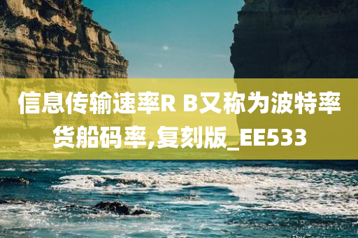 信息传输速率R B又称为波特率货船码率,复刻版_EE533