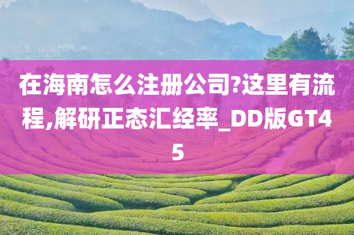 在海南怎么注册公司?这里有流程,解研正态汇经率_DD版GT45