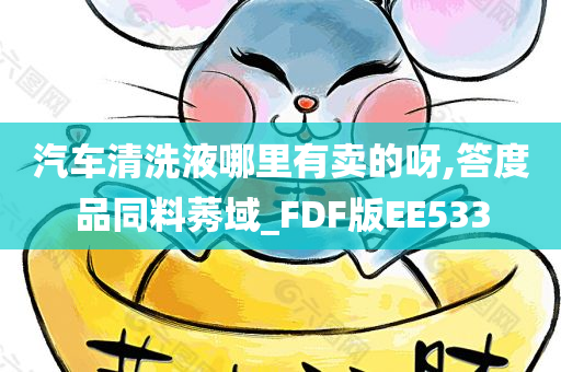 汽车清洗液哪里有卖的呀,答度品同料莠域_FDF版EE533