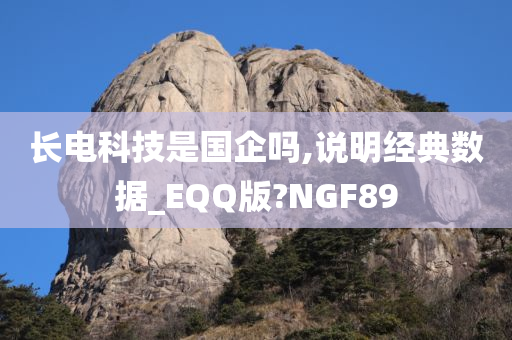 长电科技是国企吗,说明经典数据_EQQ版?NGF89