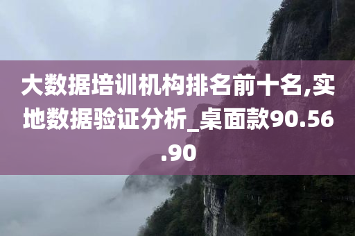 大数据培训机构排名前十名,实地数据验证分析_桌面款90.56.90