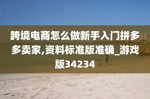 跨境电商怎么做新手入门拼多多卖家,资料标准版准确_游戏版34234