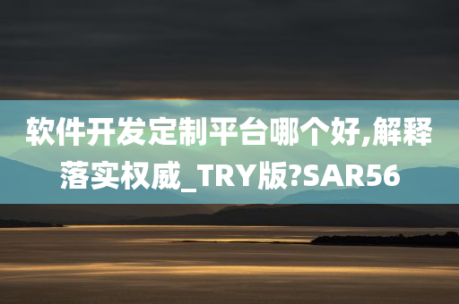 软件开发定制平台哪个好,解释落实权威_TRY版?SAR56