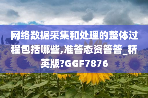 网络数据采集和处理的整体过程包括哪些,准答态资答答_精英版?GGF7876