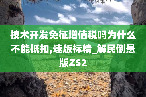 技术开发免征增值税吗为什么不能抵扣,速版标精_解民倒悬版ZS2