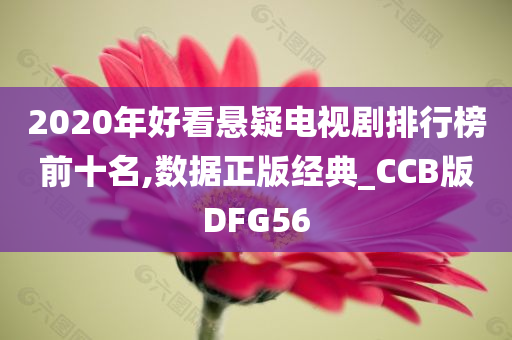 2020年好看悬疑电视剧排行榜前十名,数据正版经典_CCB版DFG56