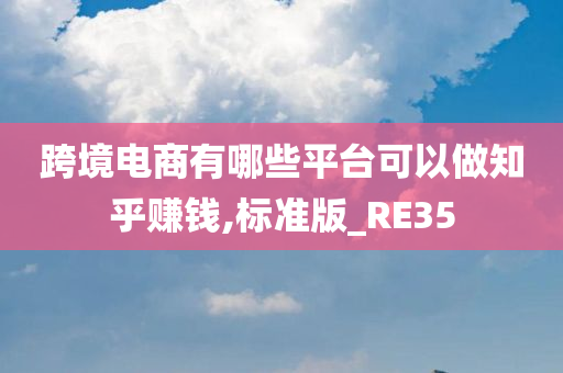 跨境电商有哪些平台可以做知乎赚钱,标准版_RE35