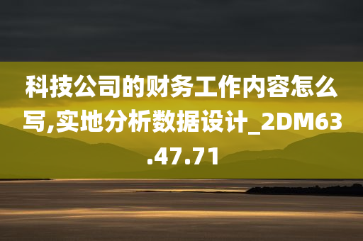 科技公司的财务工作内容怎么写,实地分析数据设计_2DM63.47.71