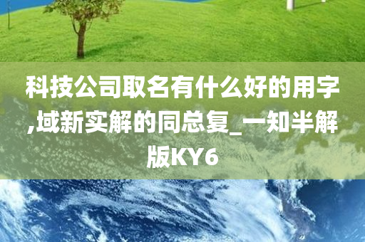 科技公司取名有什么好的用字,域新实解的同总复_一知半解版KY6