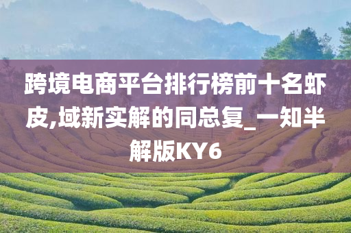 跨境电商平台排行榜前十名虾皮,域新实解的同总复_一知半解版KY6