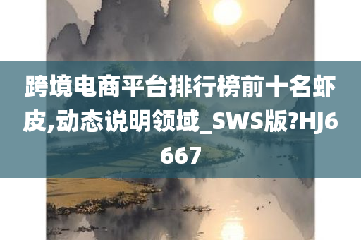 跨境电商平台排行榜前十名虾皮,动态说明领域_SWS版?HJ6667