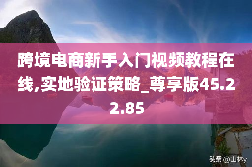 跨境电商新手入门视频教程在线,实地验证策略_尊享版45.22.85