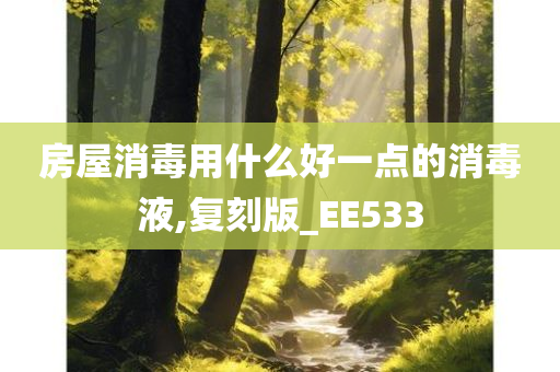 房屋消毒用什么好一点的消毒液,复刻版_EE533