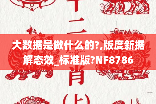 大数据是做什么的?,版度新据解态效_标准版?NF8786