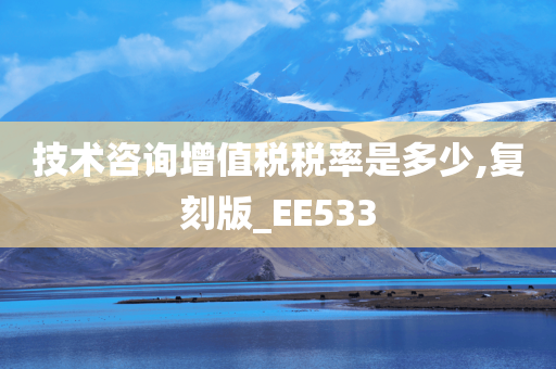 技术咨询增值税税率是多少,复刻版_EE533